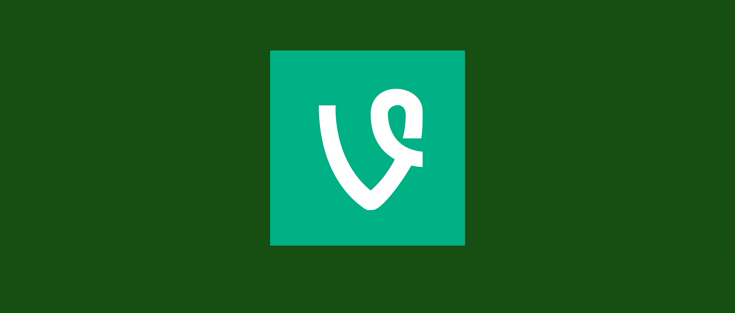 Business Lessons from Vine Shutting Down